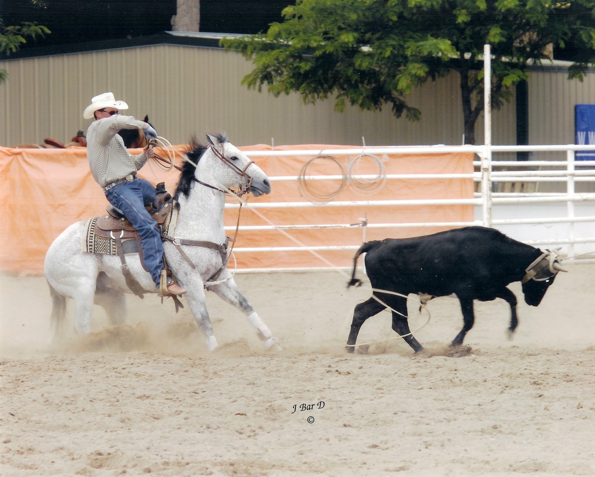 Team roping dating site
